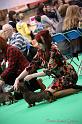 Crufts2011_2 1182